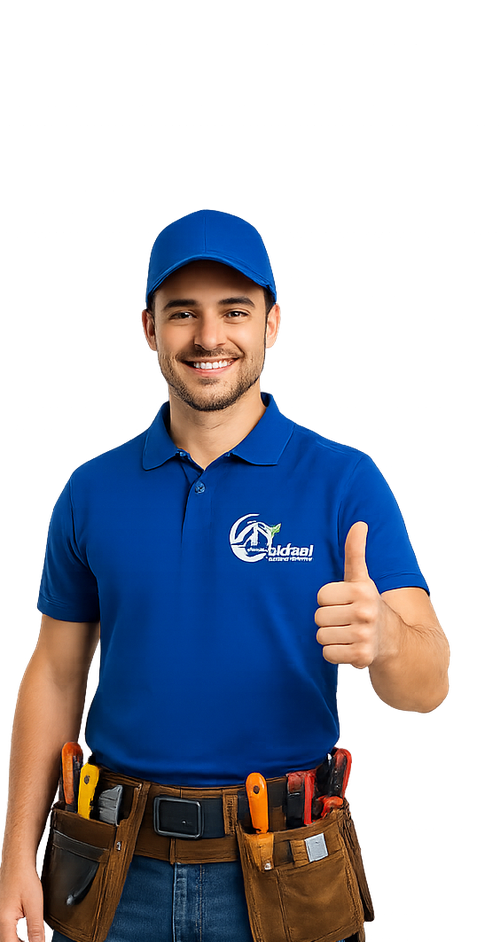 SAFAZI service professional